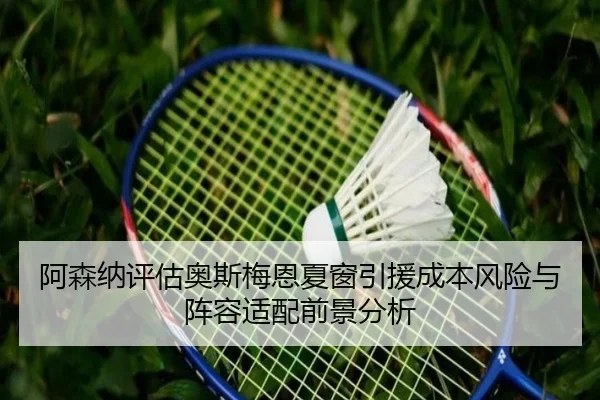 阿森纳评估奥斯梅恩夏窗引援成本风险与阵容适配前景分析