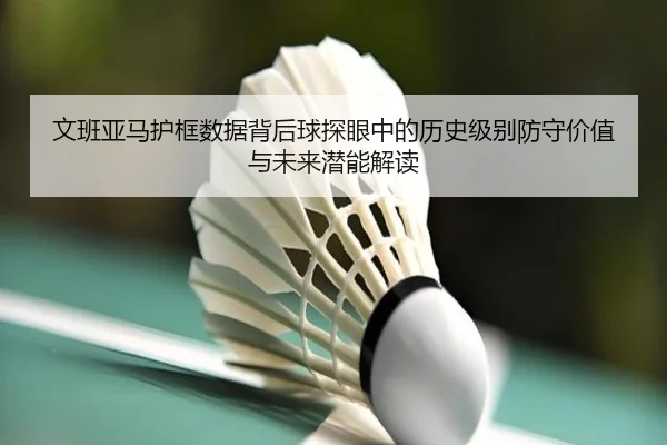 文班亚马护框数据背后球探眼中的历史级别防守价值与未来潜能解读